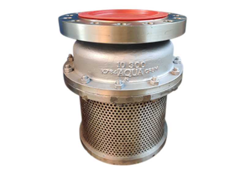 Foot Valve